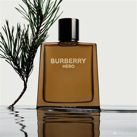 husky burberry uomo|burberry cologne for men.